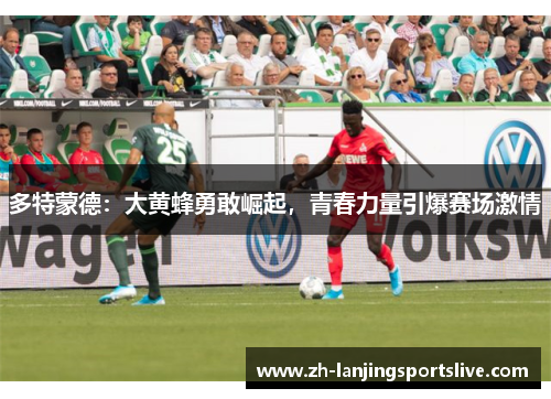 多特蒙德:大黄蜂勇敢崛起,青春力量引爆赛场激情 多特蒙德:大黄蜂勇敢崛起,青春力量引爆赛场激情