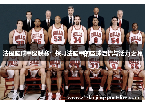 法国篮球甲级联赛:探寻法篮甲的篮球激情与活力之源 法国篮球甲级联赛:探寻法篮甲的篮球激情与活力之源
